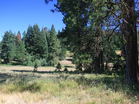 In Cascade-Siskiyou National Monument Expansion Area