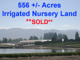 556 Acre Oregon Nursery Land for sale