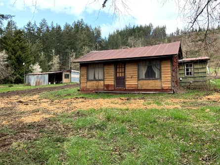215 Acres with old cabin of no value