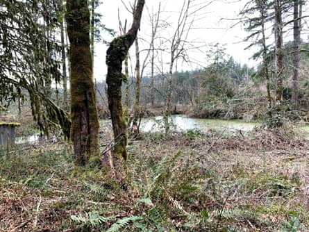 Hillside Spring and Pond