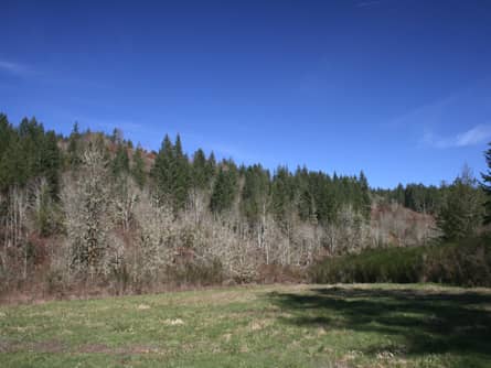 Approximately 15 acres relatively flat to rolling