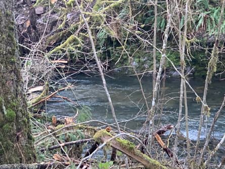 Frontage on Butte Creek