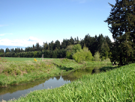 Rock Creek Flows through Property