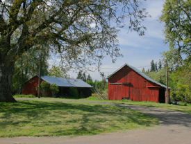 Shop and Barn