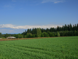 32 Acres of Water Rights