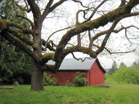 Picturesque Barns