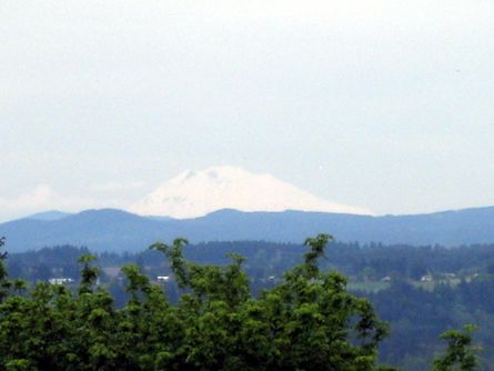 Multiple Mountain Views