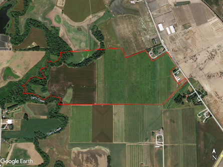 107 +/- Acre Washington County Farm