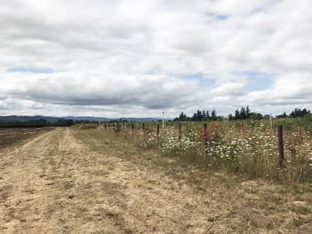 Class II Woodburn & Chehalis Soils per NRCS