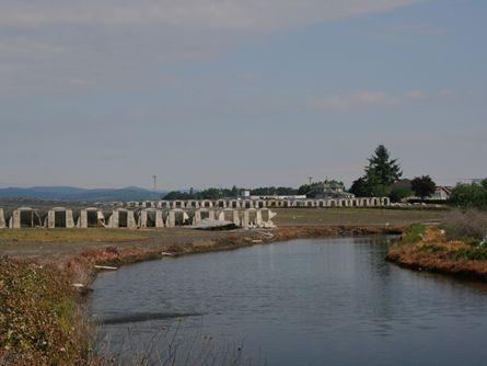 In-ground Irrigation and water reclamation system