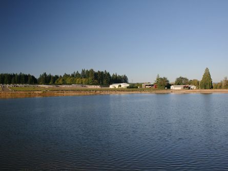 Shop and Barn