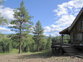 Considerable Timber and Abundant Wildlife
