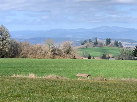 Beautiful Laurelwood Valley near Gaston, OR