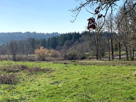 14 +/-  Acres near Scotts Mills, OR 