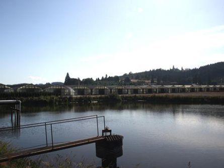 Irrigation Reservoir on Thatcher Farm