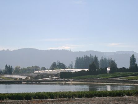 Picturesque Oregon Land for Sale- Greenhouses and Reservoir on Kansas City Farm