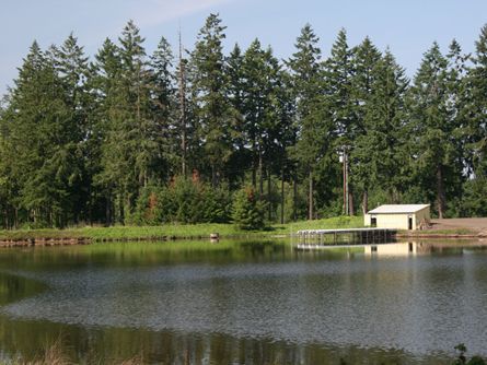 Picturesque Reservoir on McCammon Farm