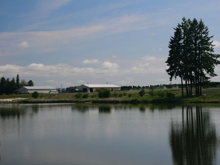 Productive Oregon Irrigated Nursery