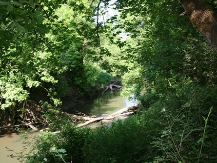 Water Rights from Dairy Creek