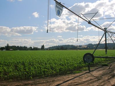 Water Rights from Santiam Water Control District