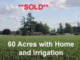 60 Acre Irrigated Willamette Valley Farm for sale