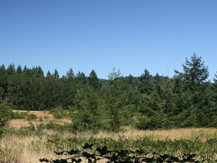 Willamette Valley Estate Site