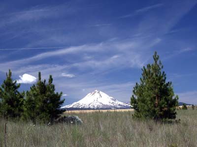 Beautiful Mt. Hood View