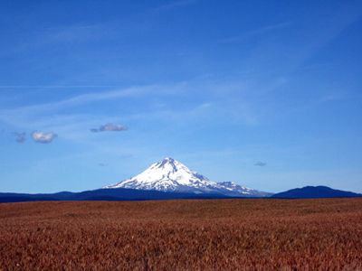 Majestic Mt. Hood