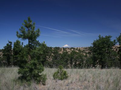 The Dalles Oregon Hunting Land