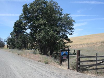 Oregon Rural Land for sale
