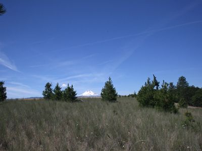 Deer, Elk and Turkey Habitat