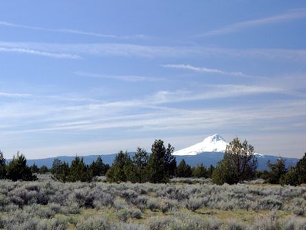 160 Acres Beautiful Wasco County Land for Sale