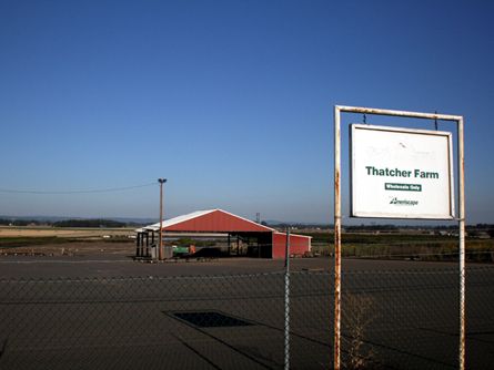 Productive Washington County Oregon Irrigated Farm