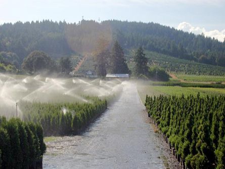 Water Rights from Irrigation Well and Tualatin Valley Irrigation District