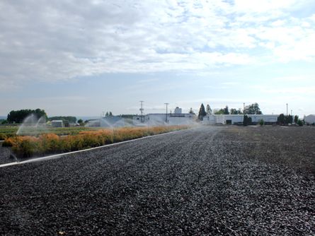 In-ground irrigation water delivery and reclaimation system