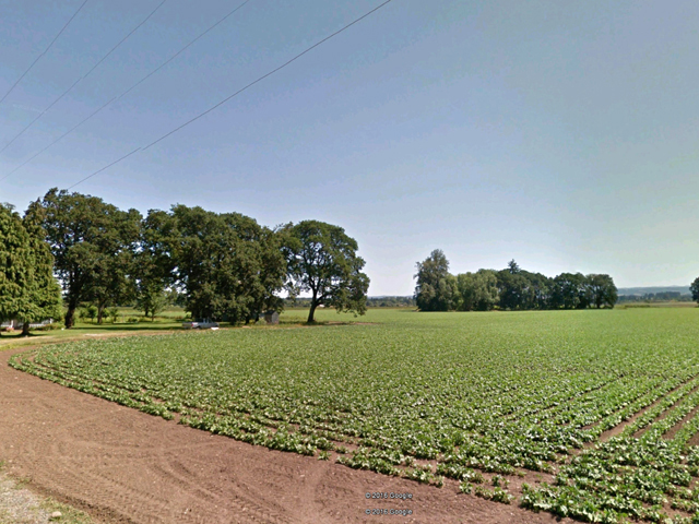 30 Acre Irrigated Farm