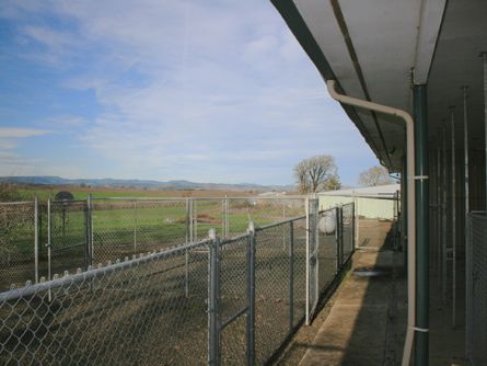 Fenced yard and kennels previously used for bird dogs