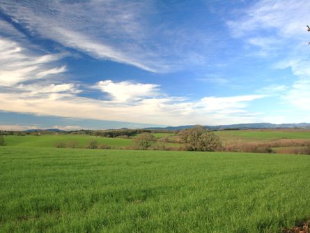 >Beautiful Willamette Valley Acreage