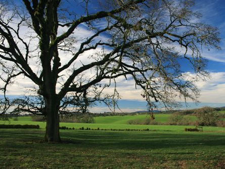 Picturesque and Productive Willamette Valley Land
