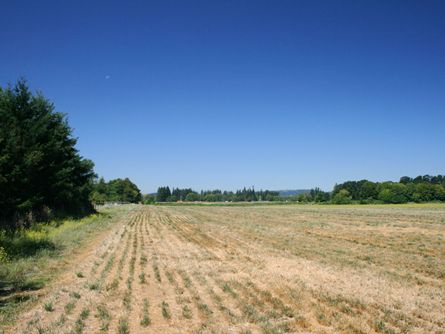 Productive Willamette Valley Irrigated Farmland