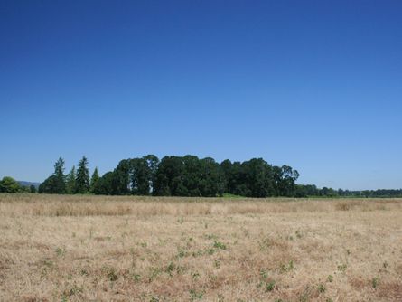 Willamette Valley Oregon Farmland for Sale