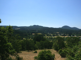 Buildable Acreage near Lebanon, Oregon