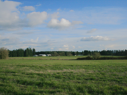 Predominantly Class II Woodburn soils