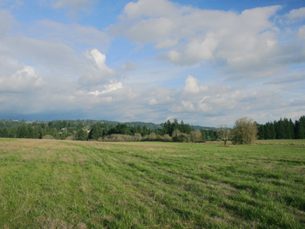 38+ Acres Wilsonville Oregon Land for Sale