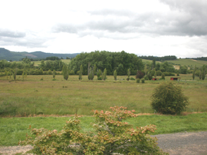 Yamhill County Oregon Farmland for Sale